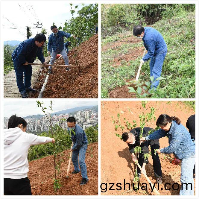 植(zhi)樹1.jpg